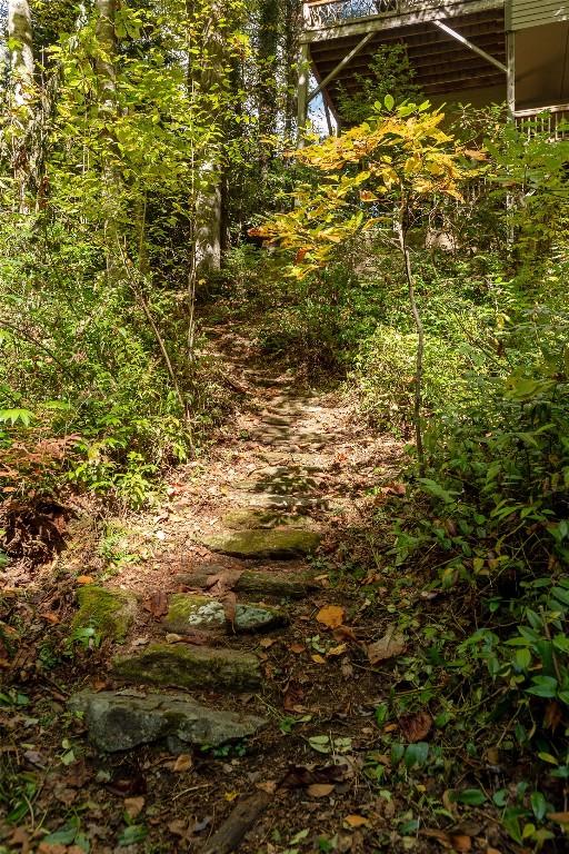 61 Indian Falls Way, Lake Toxaway, NC 28747 - view of undeveloped land