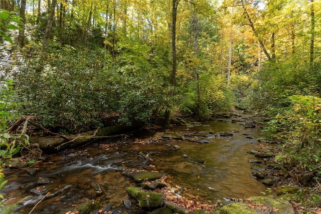 61 Indian Falls Way, Lake Toxaway, NC 28747 - view of woods