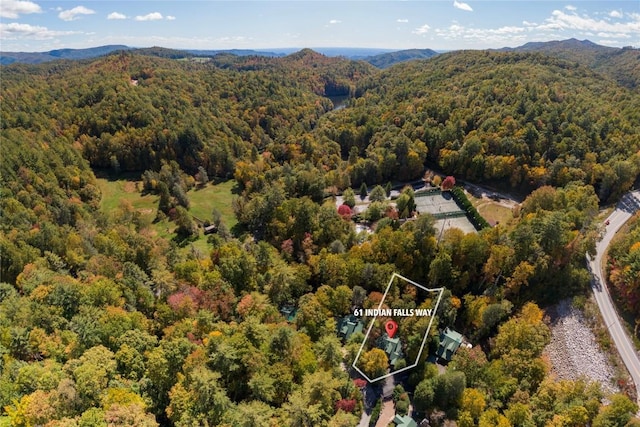 61 Indian Falls Way, Lake Toxaway, NC 28747 - aerial view of property and surrounding area with property boundaries highlighted and a mountain backdrop