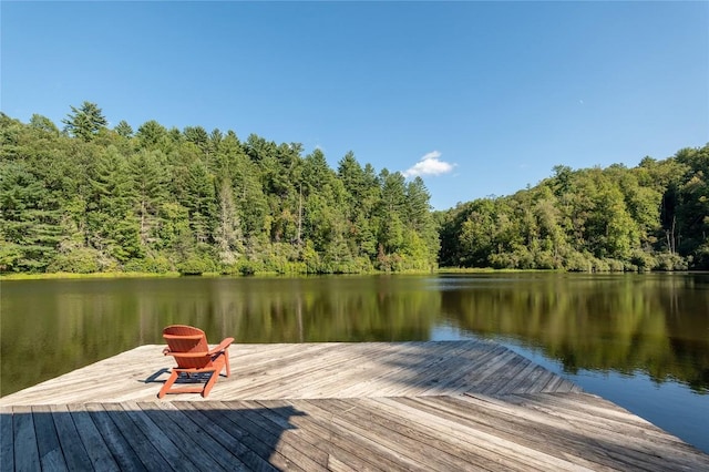 61 Indian Falls Way, Lake Toxaway, NC 28747 - dock featuring a wooded view and a water view