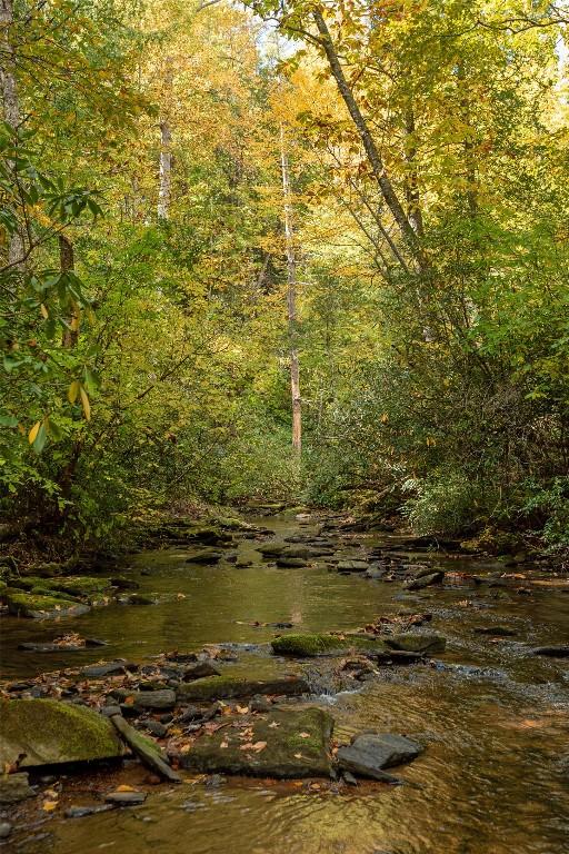 61 Indian Falls Way, Lake Toxaway, NC 28747 - view of wooded area