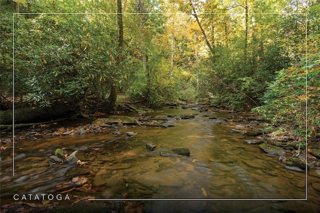 61 Indian Falls Way, Lake Toxaway, NC 28747 - view of woods