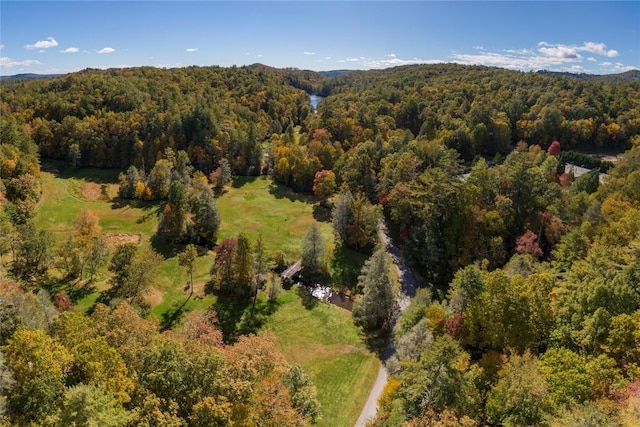61 Indian Falls Way, Lake Toxaway, NC 28747 - bird's eye view of a forest