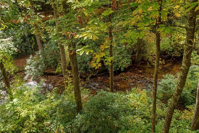 61 Indian Falls Way, Lake Toxaway, NC 28747 - view of local wilderness