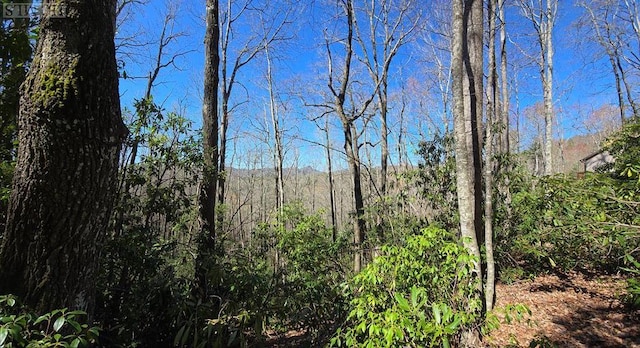 Listing photo 2 for LOT96 Black Oak Dr, Sapphire NC 28774