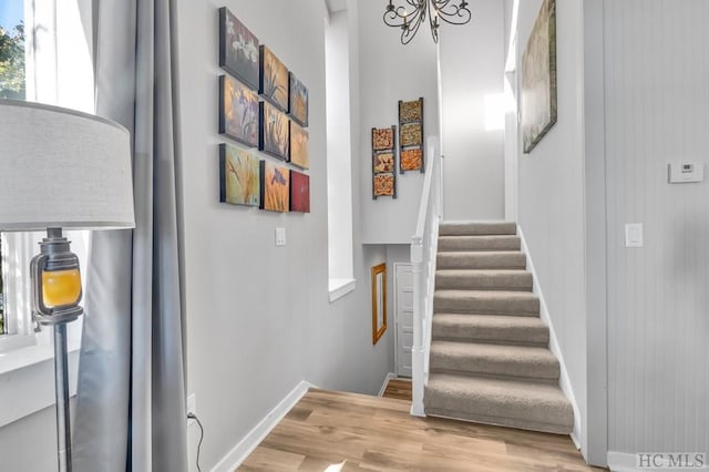 stairs featuring hardwood / wood-style flooring