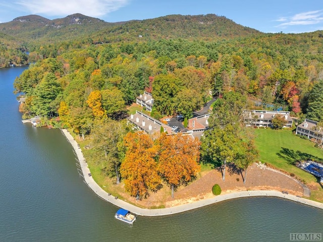 birds eye view of property featuring a water and mountain view