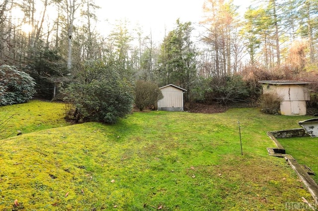 view of yard with a storage unit