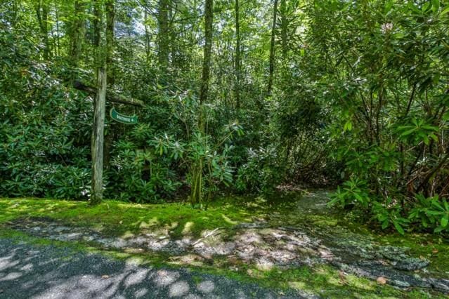 LOT11 Lake Osseroga Dr, Highlands, NC 28741