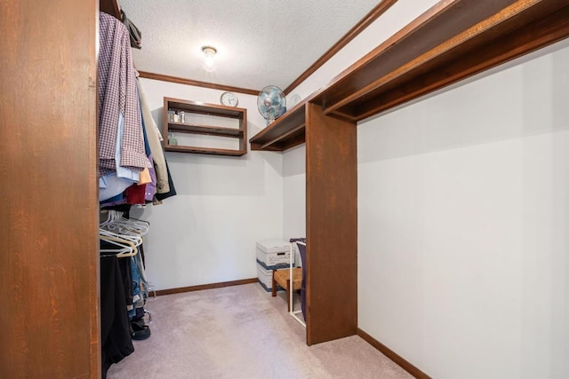 776 Stillmont Cir, Cashiers, NC 28717 - spacious closet with carpet floors