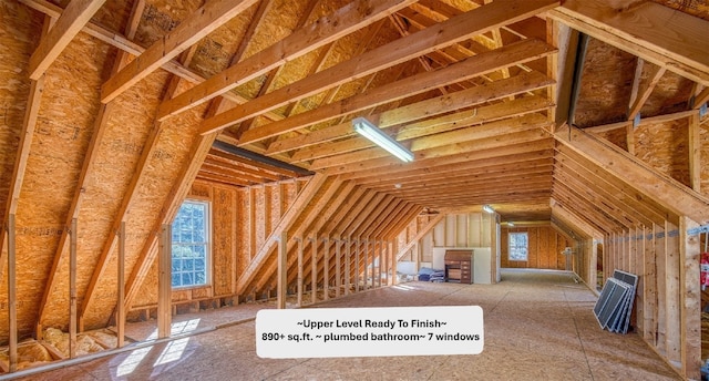 11 Lower Tanglewood Dr E, Lake Toxaway, NC 28747 - unfinished attic featuring a healthy amount of sunlight
