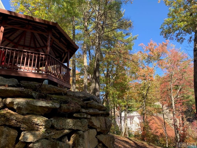 11 Lower Tanglewood Dr E, Lake Toxaway, NC 28747 - view of side of property
