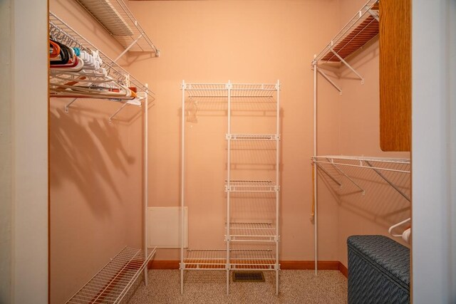 11 Lower Tanglewood Dr E, Lake Toxaway, NC 28747 - walk in closet featuring carpet