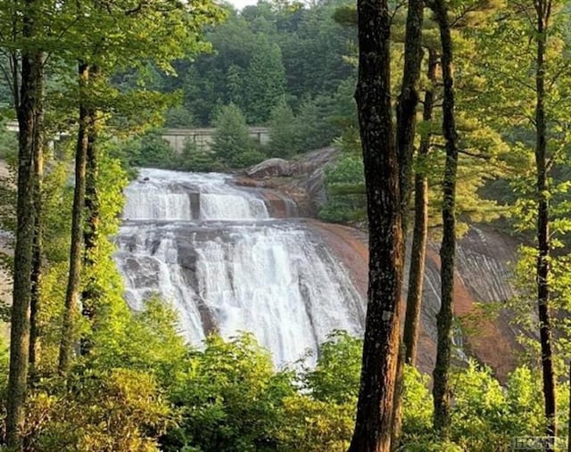11 Lower Tanglewood Dr E, Lake Toxaway, NC 28747 - water view with a forest view