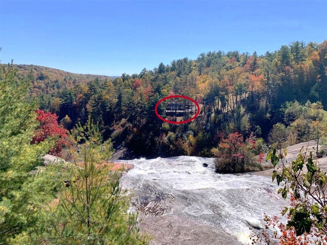 11 Lower Tanglewood Dr E, Lake Toxaway, NC 28747 - birds eye view of property featuring a forest view