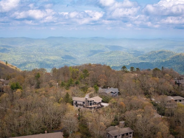1241 King Gap Rd, Highlands, NC 28741 - photo 47
