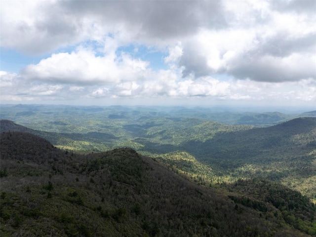 view of mountain backdrop with a heavily wooded area