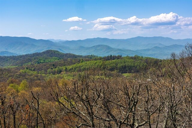 mountain view with a heavily wooded area