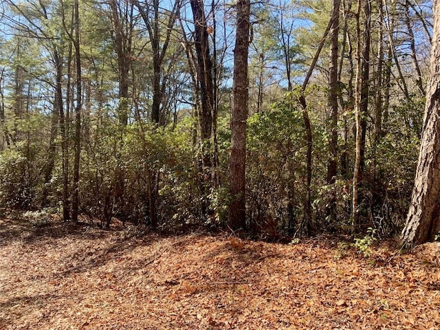 LOT18 Oakridge Dr, Brevard NC, 28712 land for sale