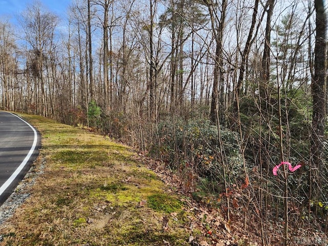 Listing photo 2 for LOT3 Turkey Roost Rd, Sapphire NC 28774