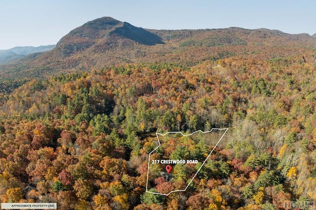 property view of mountains