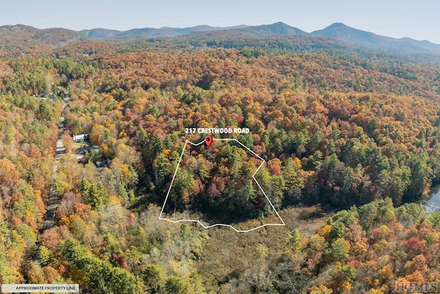 drone / aerial view with a mountain view