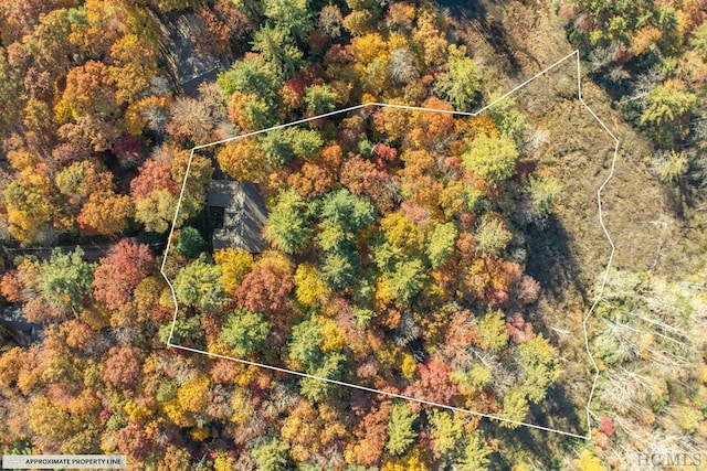 bird's eye view