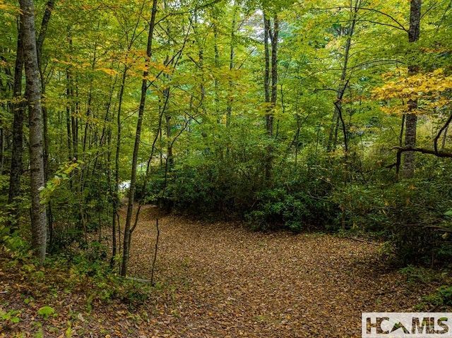 000 Hwy 107n, Glenville, NC 28736 - photo 14