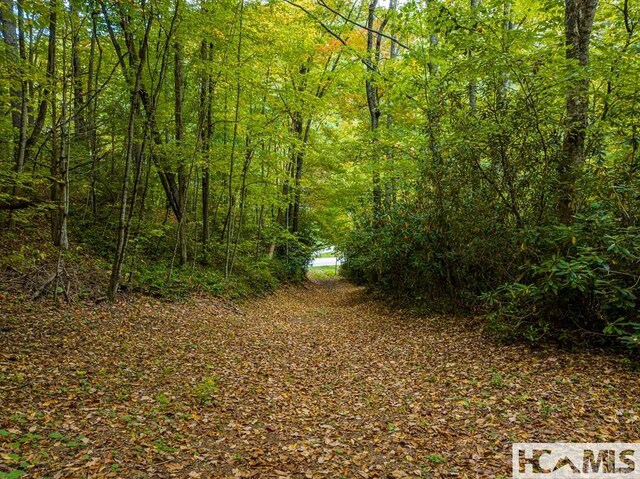 000 Hwy 107n, Glenville, NC 28736 - photo 17