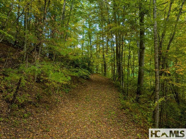 000 Hwy 107n, Glenville, NC 28736 - photo 15