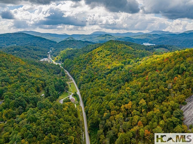 000 Hwy 107n, Glenville, NC 28736 - photo 8