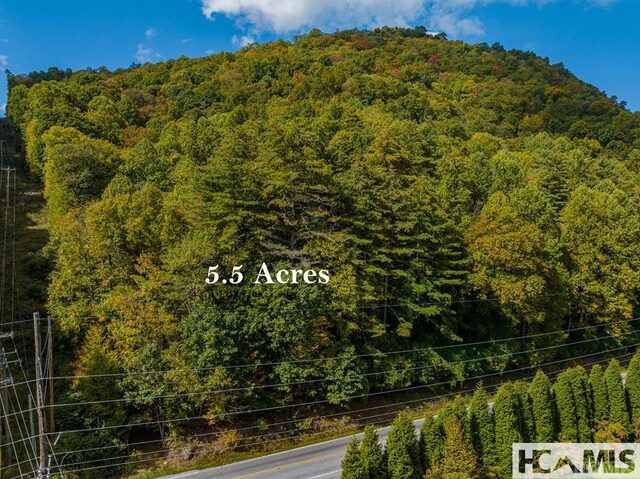 000 Hwy 107n, Glenville, NC 28736 - photo 19