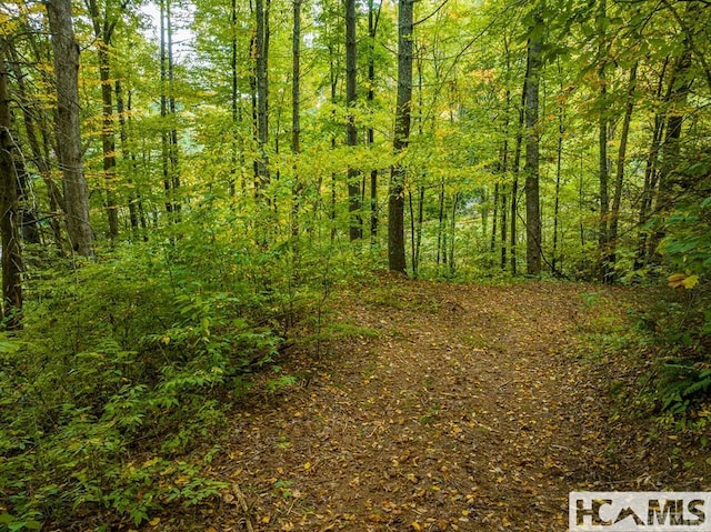 000 Hwy 107n, Glenville, NC 28736 - photo 16
