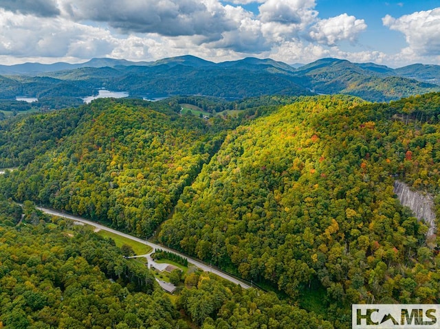 000 Hwy 107n, Glenville, NC 28736 - photo 4