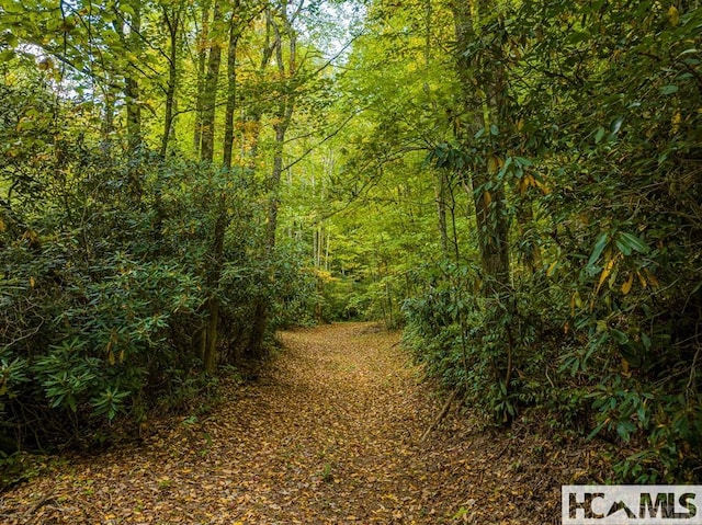 000 Hwy 107n, Glenville, NC 28736 - photo 12