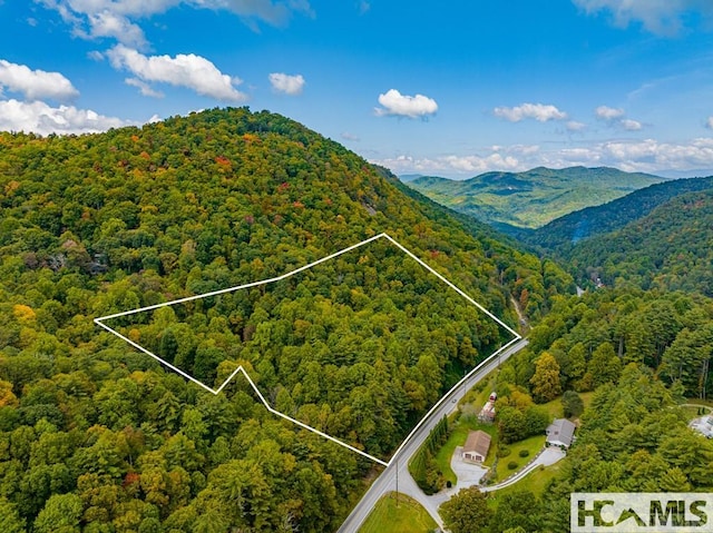 000 Hwy 107n, Glenville, NC 28736 - photo 10