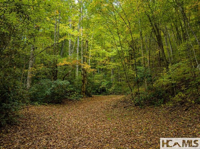 000 Hwy 107n, Glenville, NC 28736 - photo 13