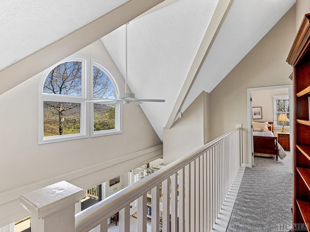 hallway with lofted ceiling and carpet flooring