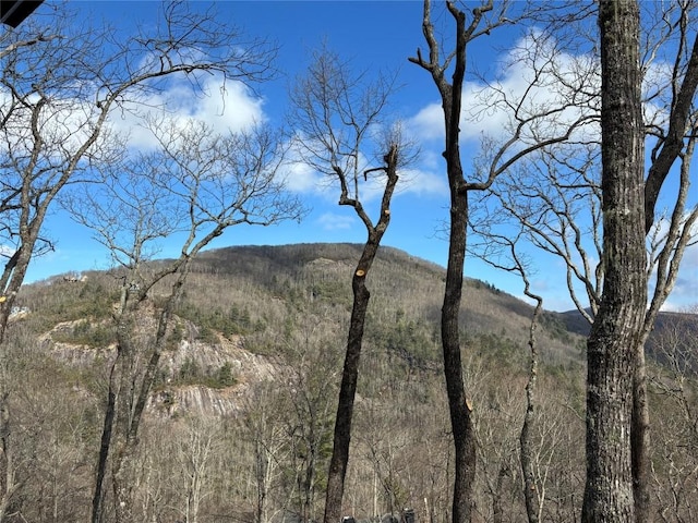 exterior details featuring a mountain view