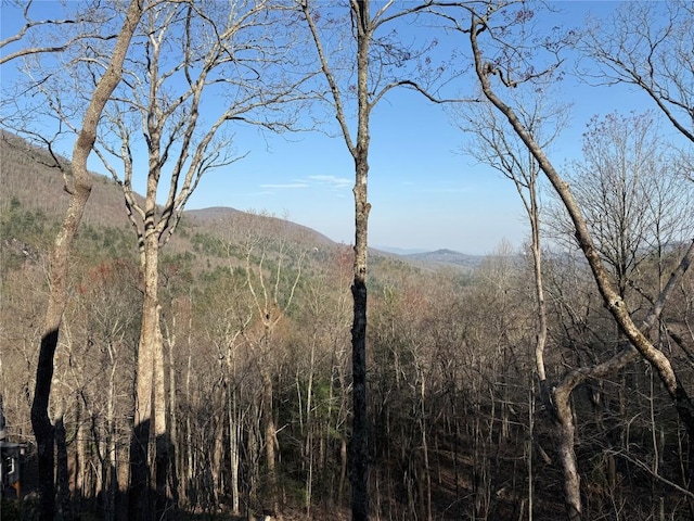property view of mountains with a wooded view