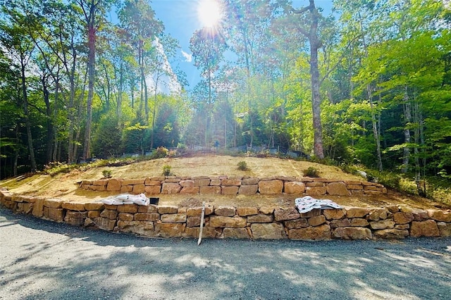 99 Sori Ln, Sapphire, NC 28774 - view of yard with a view of trees