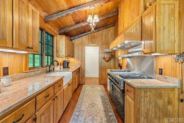 kitchen with wood walls, sink, dark hardwood / wood-style flooring, double oven range, and wooden ceiling