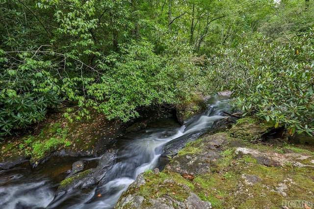 view of nature