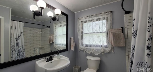 bathroom featuring sink, toilet, and a shower with shower curtain