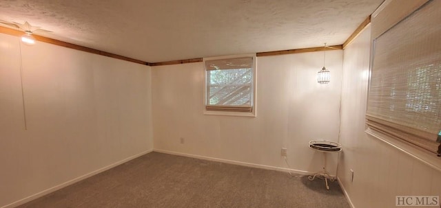 basement with a textured ceiling and carpet flooring