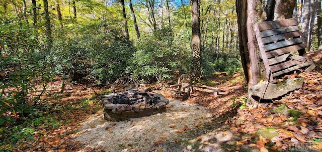 view of yard featuring an outdoor fire pit