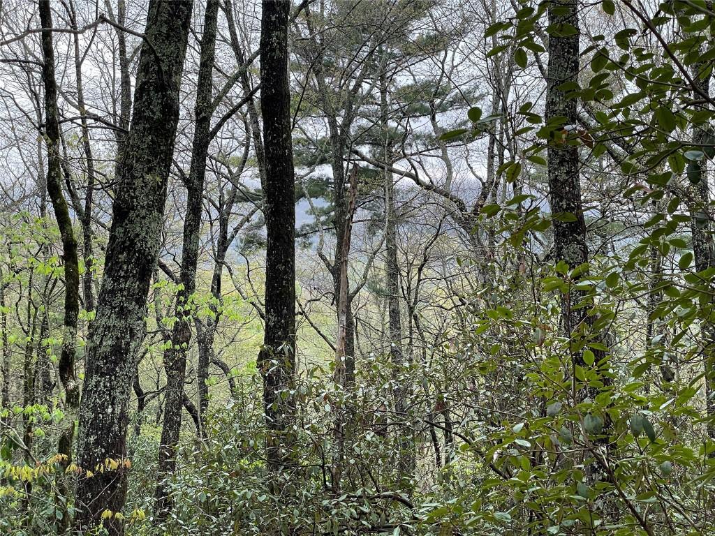 LOT11 Cherokee Trce, Lake Toxaway, NC 28747