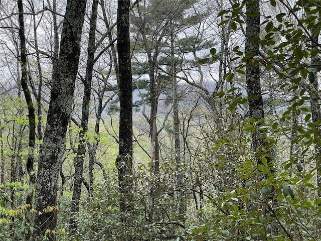 LOT11 Cherokee Trce, Lake Toxaway, NC 28747