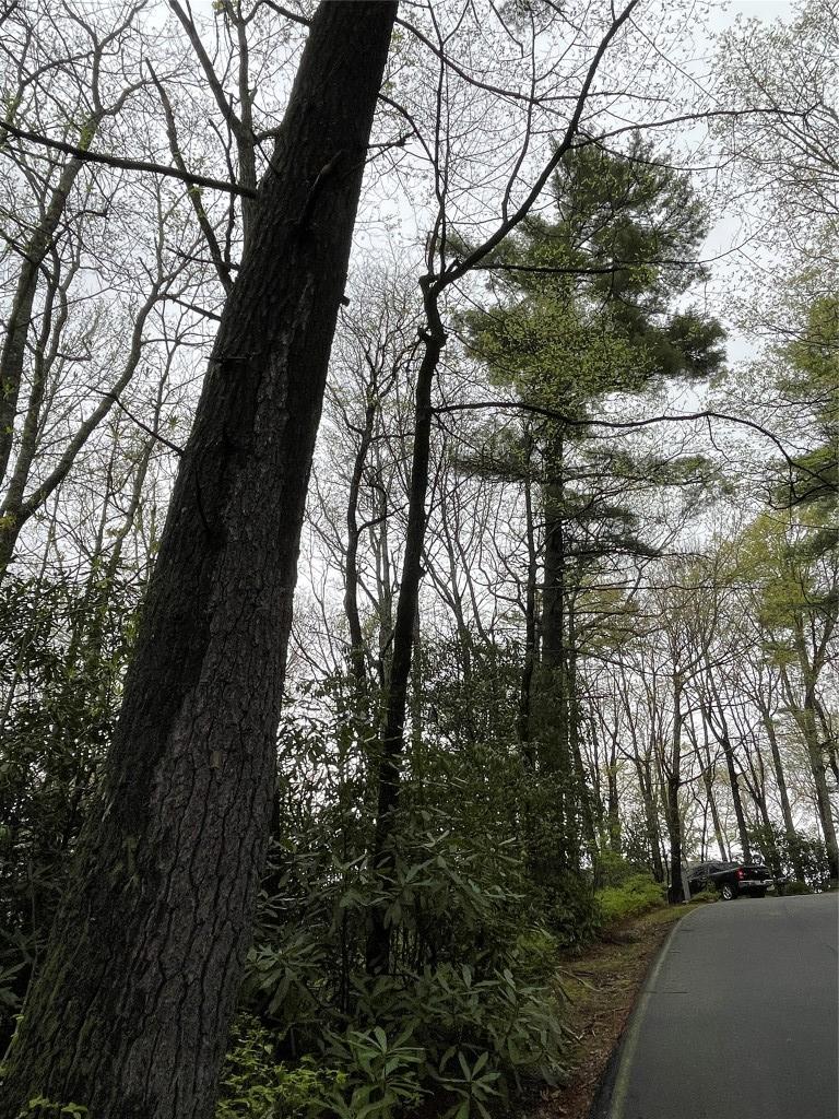LOT11 Cherokee Trce, Lake Toxaway, NC 28747