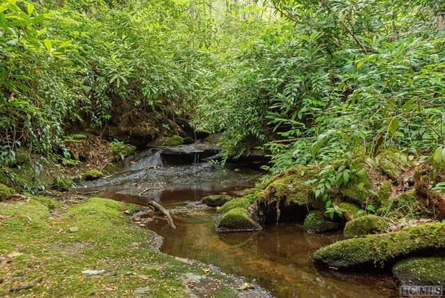 view of local wilderness